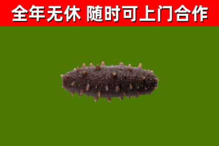 攀枝花市烟酒回收干海参.jpg